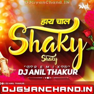 Ek Number Tuzi Kambar (Remix) Dj Anil Thakur